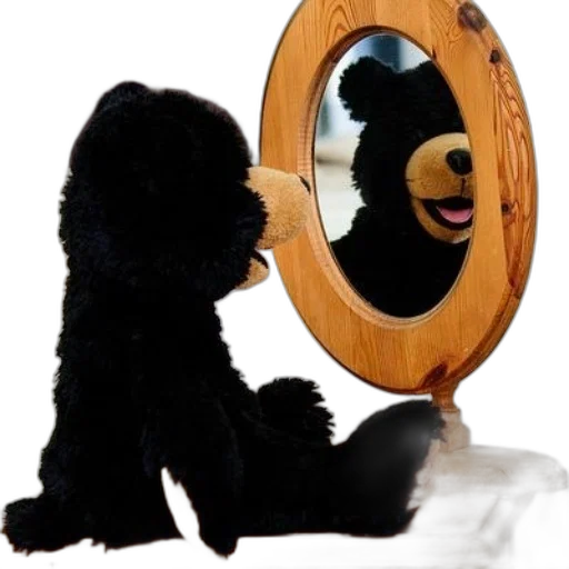 animal, creature, mask, face transparent PNG cut-out