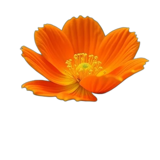 flower, crown, staff, jewelry transparent PNG cut-out