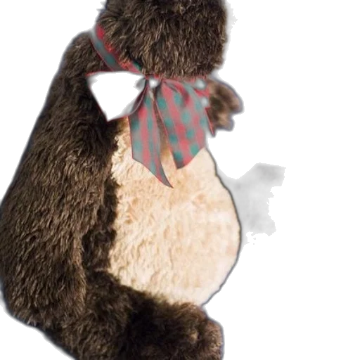 animal, creature, hat, staff transparent PNG cut-out