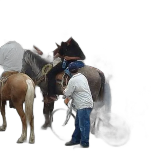 staff, hat, animal, hair transparent PNG cut-out