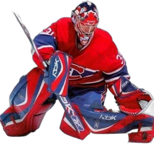 animal, mask, hockey, goalie transparent PNG cut-out