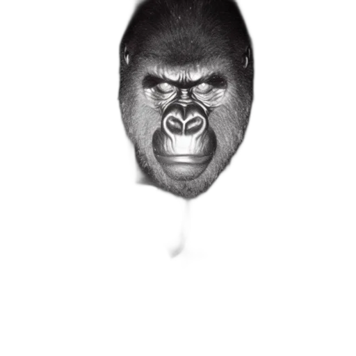 animal, face, mask, creature transparent PNG cut-out