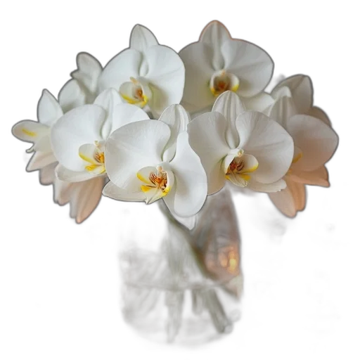 flower, crown, jewelry, staff transparent PNG cut-out