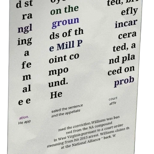 text-heavy, image, mix, black transparent PNG cut-out