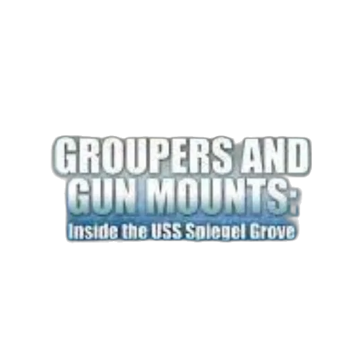 groupers, gun, mounts, inside transparent PNG cut-out