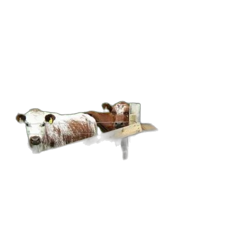 furniture, jewelry, weapon, staff transparent PNG cut-out