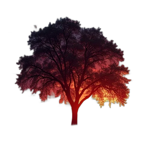 tree, crown, animal, umbrella transparent PNG cut-out