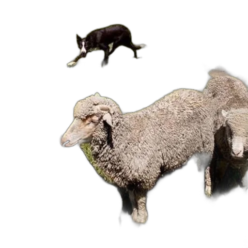 animal, weapon, 3d render, photorealistic transparent PNG cut-out