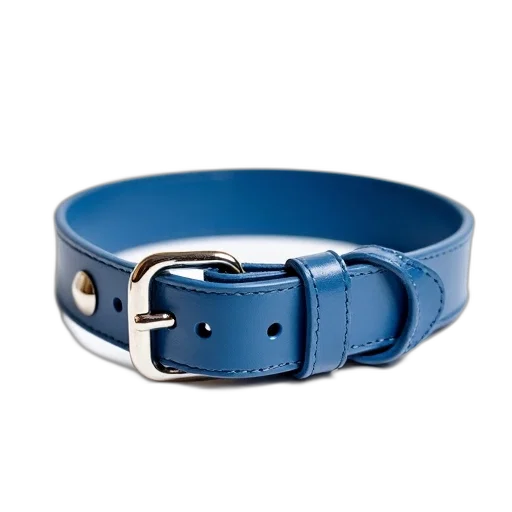 jewelry, blue, dog, collar transparent PNG cut-out