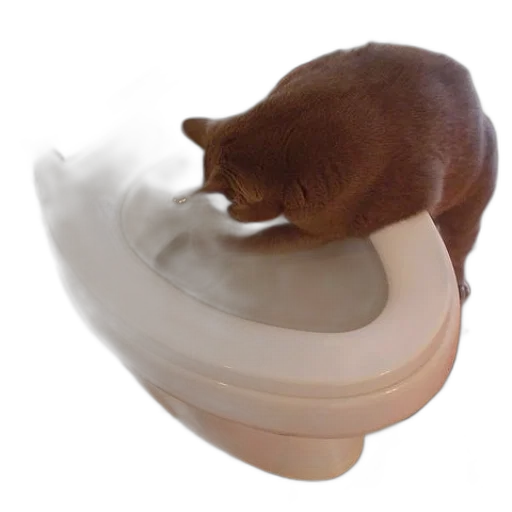 food, animal, creature, photorealistic transparent PNG cut-out