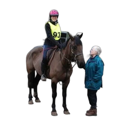 staff, jacket, animal, jockey transparent PNG cut-out