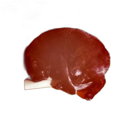 food, animal, hair, weapon transparent PNG cut-out
