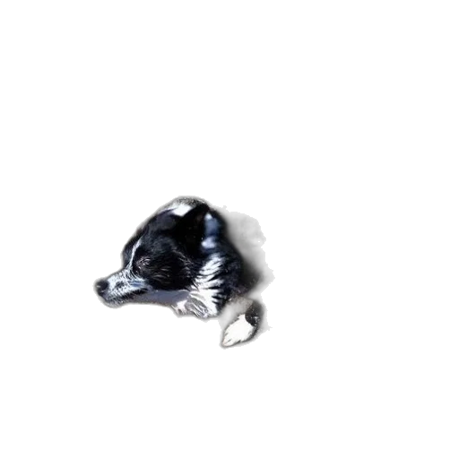 animal, staff, creature, jewelry transparent PNG cut-out