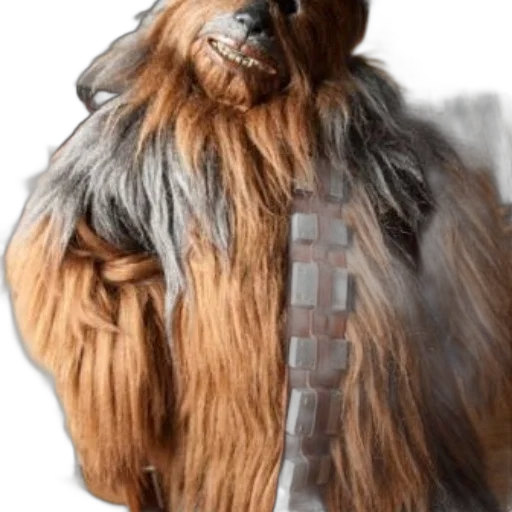 animal, creature, hair, staff transparent PNG cut-out