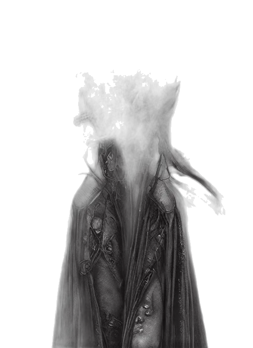 mask, dress, hair, jacket transparent PNG cut-out