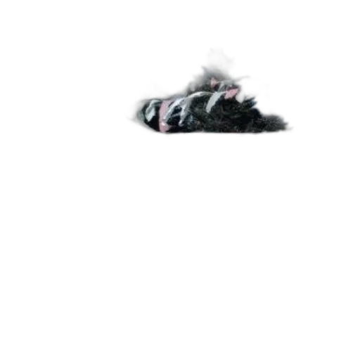 shoes, hat, jacket, creature transparent PNG cut-out