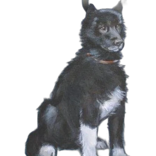 animal, staff, creature, face transparent PNG cut-out