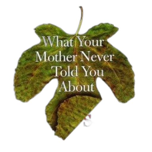 book, cover, green, leaf transparent PNG cut-out