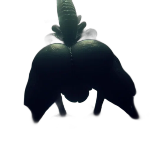 crown, creature, hat, mask transparent PNG cut-out