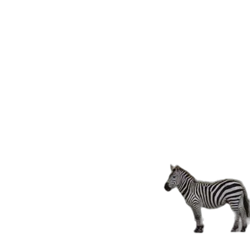 animal, creature, furniture, car transparent PNG cut-out