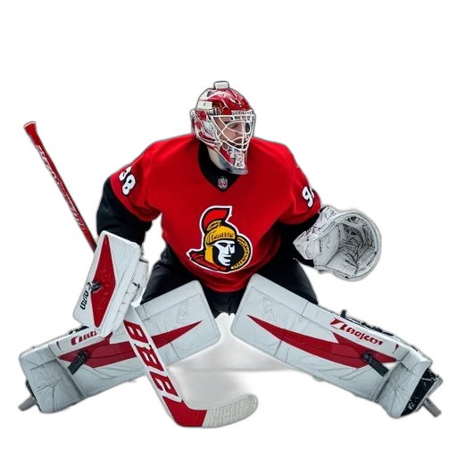 robot, hockey, goaltender, ice transparent PNG cut-out