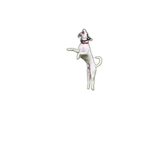 staff, flower, jewelry, animal transparent PNG cut-out