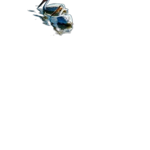 dragon, robot, weapon, animal transparent PNG cut-out