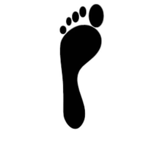 shoes, staff, face, animal transparent PNG cut-out
