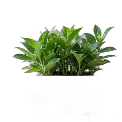 crown, 3d render, photorealistic, diy transparent PNG cut-out
