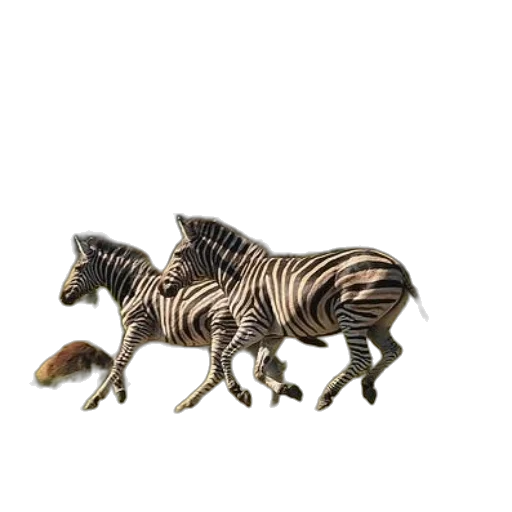 animal, creature, dragon, jewelry transparent PNG cut-out