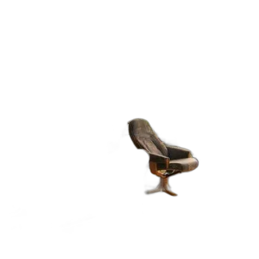 shoes, furniture, hat, animal transparent PNG cut-out