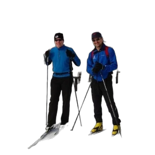 staff, 3d render, three, people transparent PNG cut-out