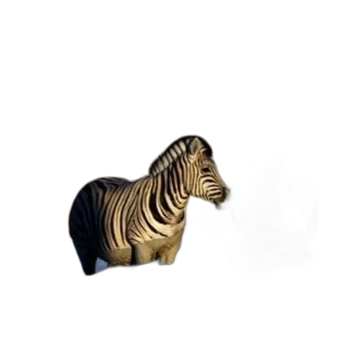 animal, furniture, jewelry, crown transparent PNG cut-out