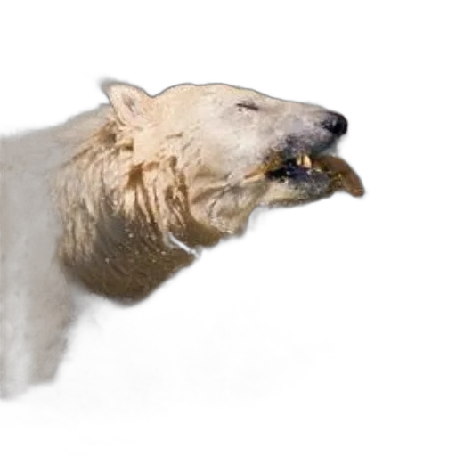 animal, creature, staff, face transparent PNG cut-out