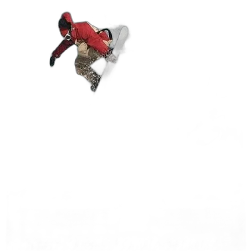 shoes, animal, creature, staff transparent PNG cut-out