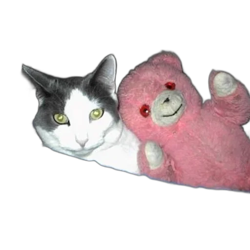 3d render, cat, pink, teddy transparent PNG cut-out