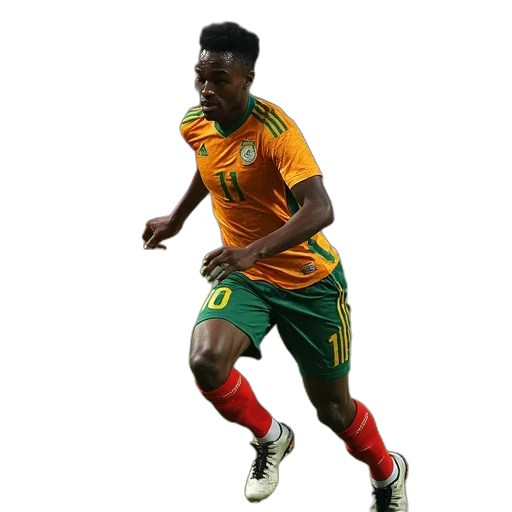 lacrosee, world, cup, teams transparent PNG cut-out