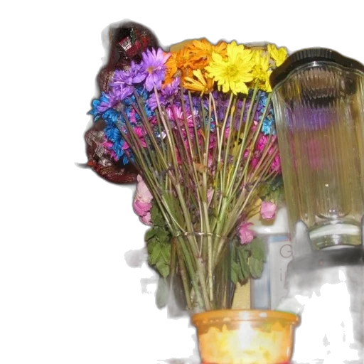 flower, bottle, crown, mask transparent PNG cut-out