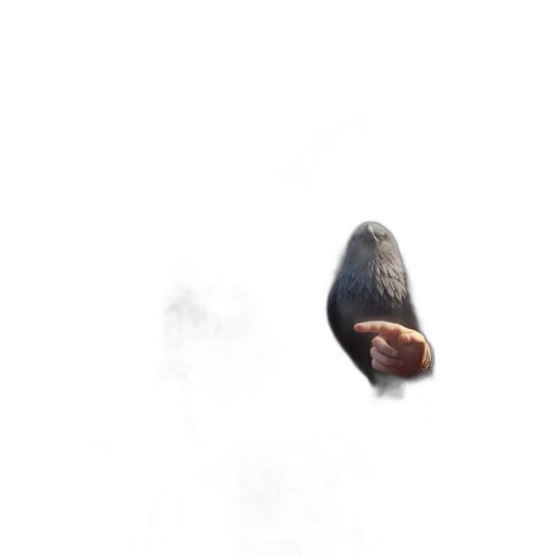 creature, animal, face, hair transparent PNG cut-out