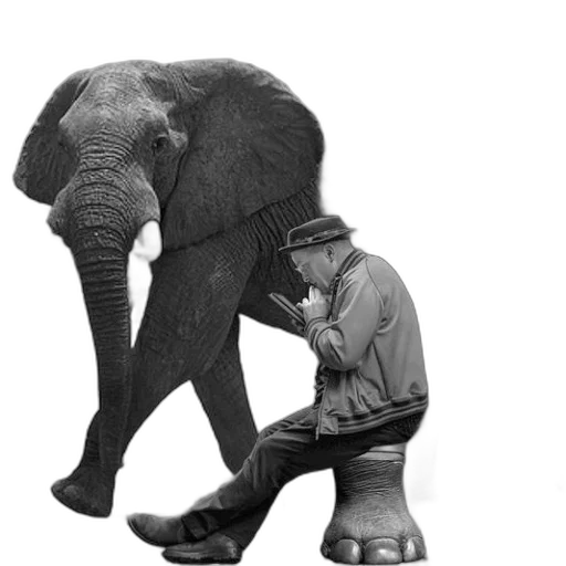 animal, concept art, photorealistic, man transparent PNG cut-out