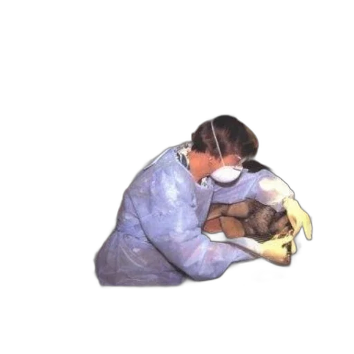 animal, staff, mask, creature transparent PNG cut-out