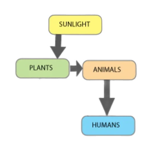 animal, robot, flowchart, illustrating transparent PNG cut-out