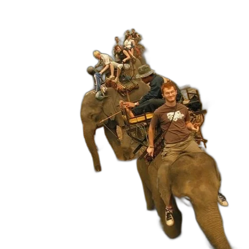 animal, staff, crown, creature transparent PNG cut-out