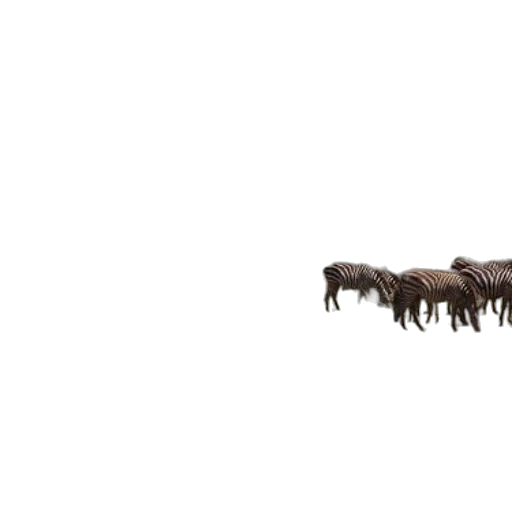 hair, animal, staff, weapon transparent PNG cut-out