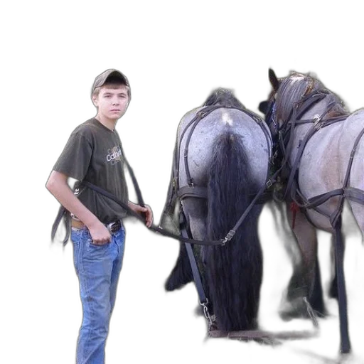 animal, weapon, creature, staff transparent PNG cut-out