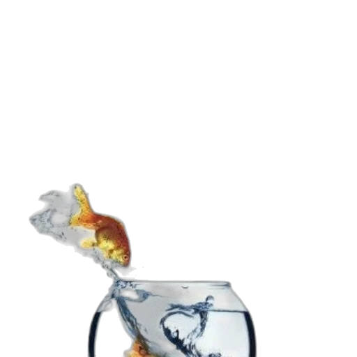 bottle, dragon, crown, animal transparent PNG cut-out