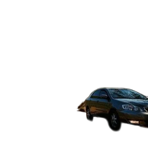 car, animal, weapon, 3d render transparent PNG cut-out
