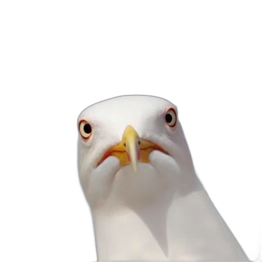 animal, face, creature, robot transparent PNG cut-out