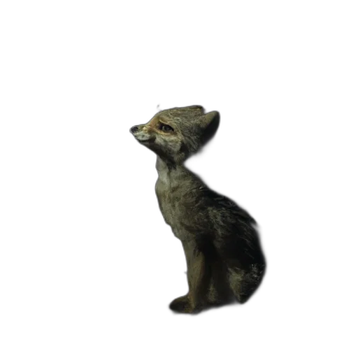 animal, creature, staff, mask transparent PNG cut-out