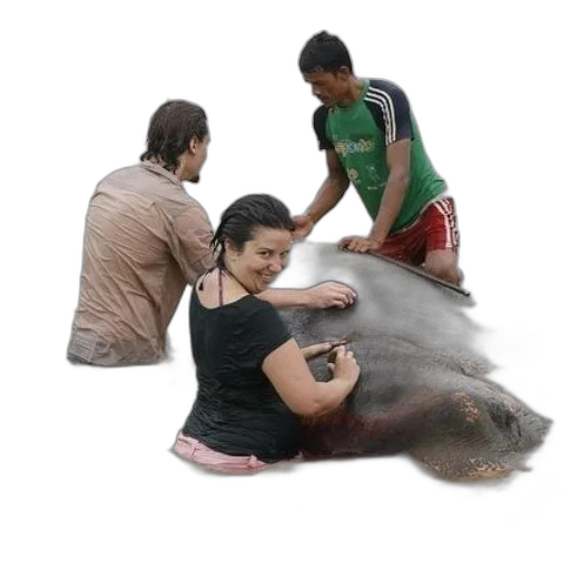 creature, animal, hair, staff transparent PNG cut-out